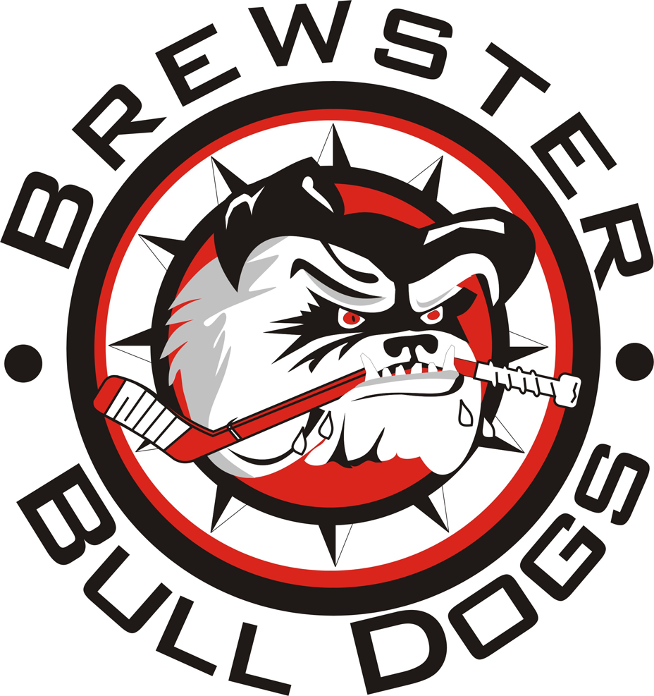 Brewster Bulldogs 2015-Pres Primary Logo iron on heat transfer